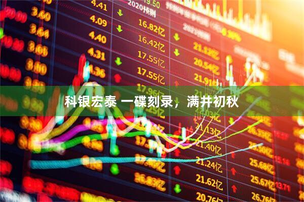 科银宏泰 一碟刻录，满井初秋