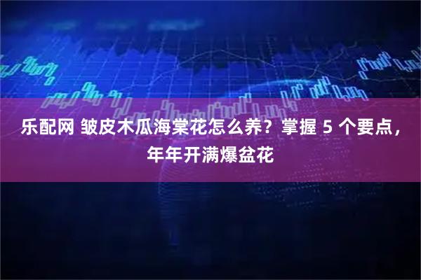 乐配网 皱皮木瓜海棠花怎么养？掌握 5 个要点，年年开满爆盆花