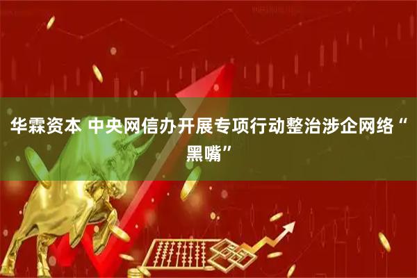 华霖资本 中央网信办开展专项行动整治涉企网络“黑嘴”